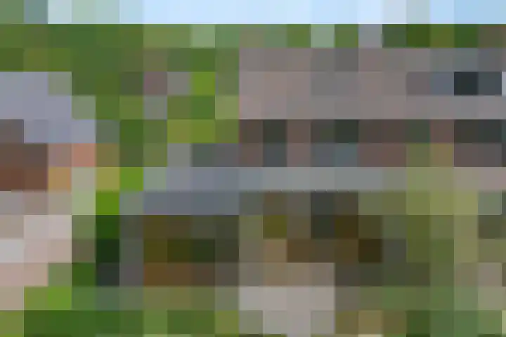 Torenlaan 21 Putten thumbnail 33