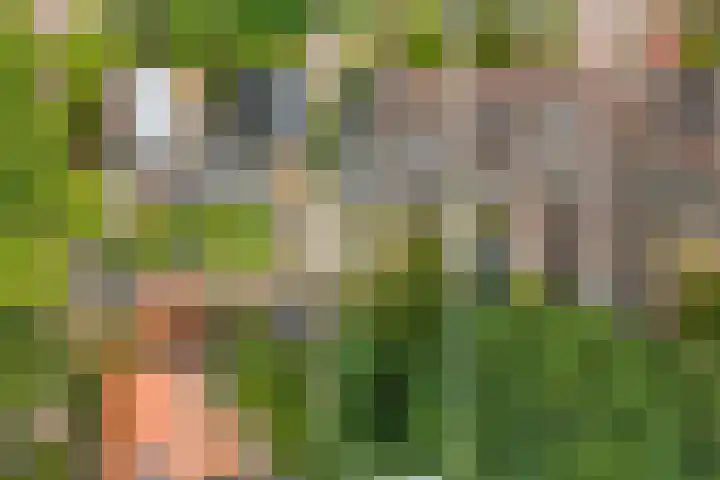 Torenlaan 21 Putten thumbnail 35