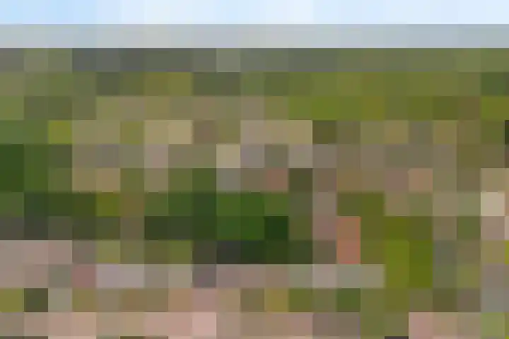 Torenlaan 21 Putten thumbnail 36