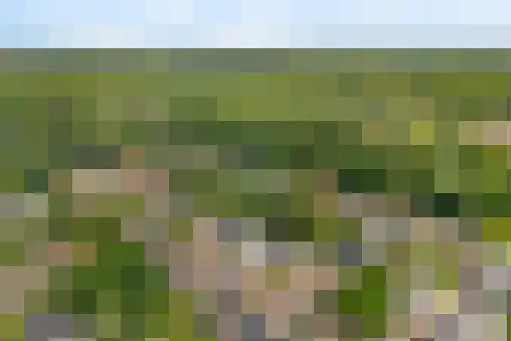 Torenlaan 21 Putten thumbnail 37
