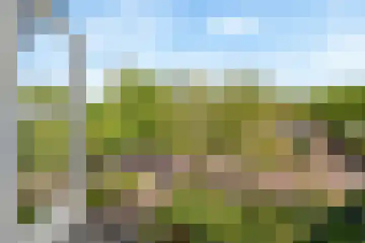 Torenlaan 21 Putten thumbnail 5
