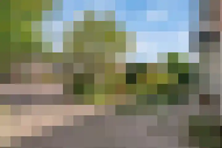Torenlaan 21 Putten thumbnail 6