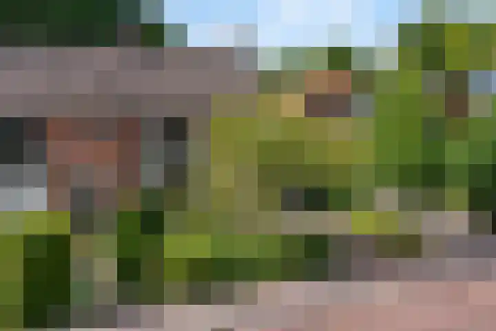 Torenlaan 21 Putten thumbnail 7
