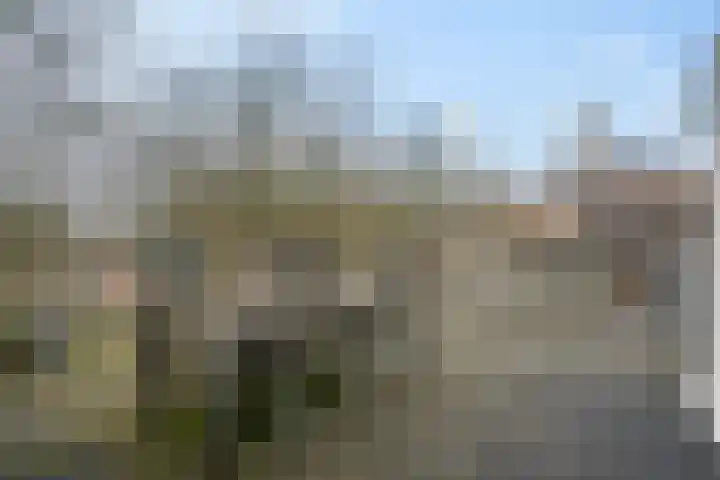 Torenlaan 22 B Assen thumbnail 32