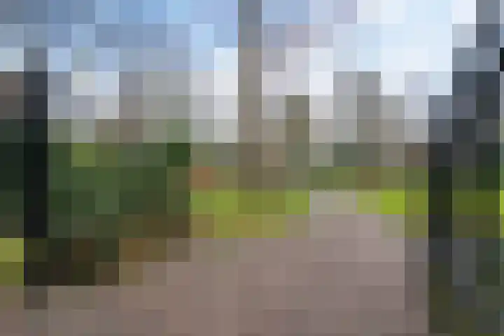 Torenlaan 22 B Assen thumbnail 38