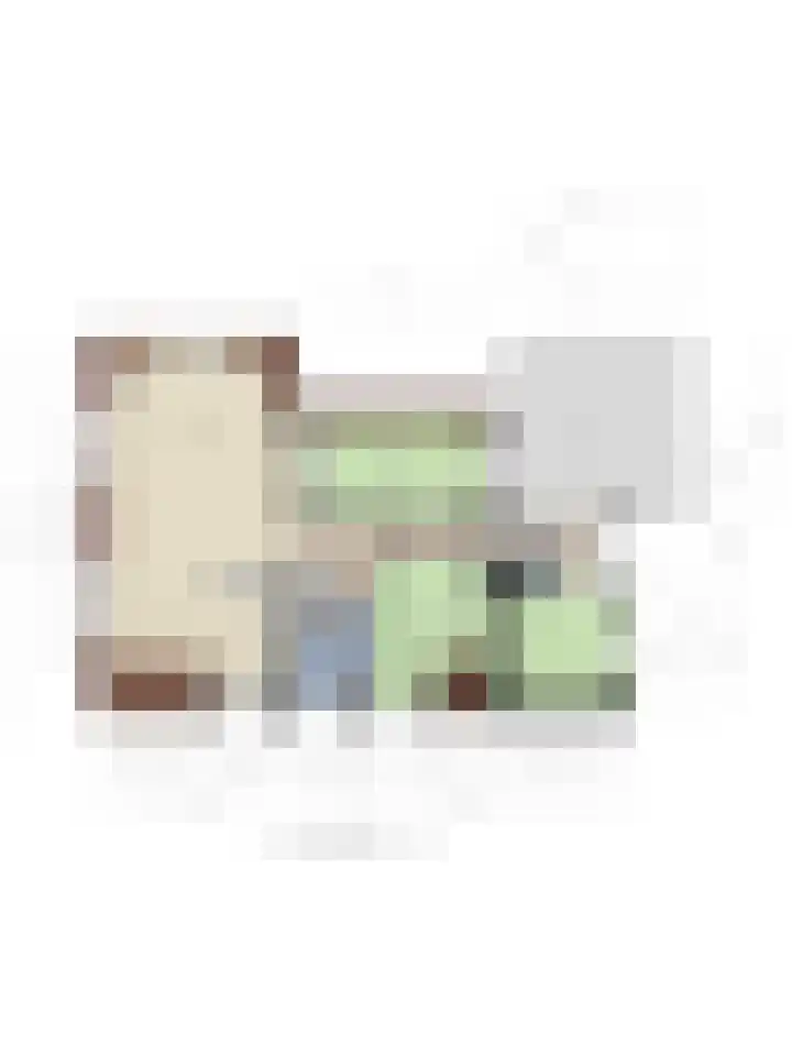 Torenlaan 22 B Assen thumbnail 43