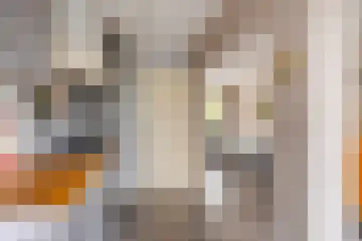Torenlaan 22 Heelsum thumbnail 10