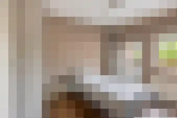 Torenlaan 22 Heelsum thumbnail 14