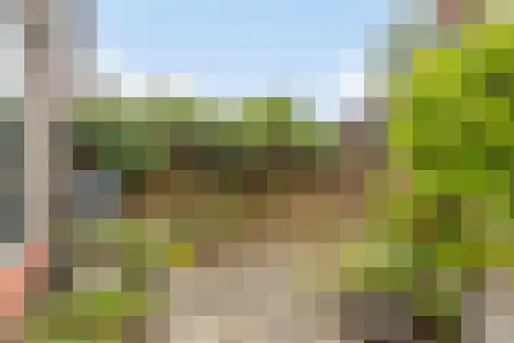Torenlaan 22 Heelsum thumbnail 19