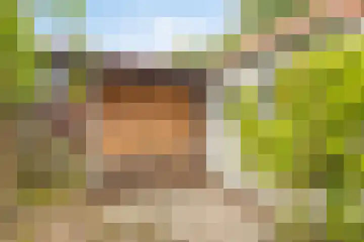Torenlaan 22 Heelsum thumbnail 20
