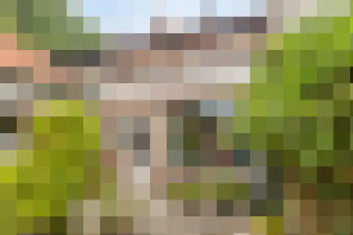 Torenlaan 22 Heelsum thumbnail 21
