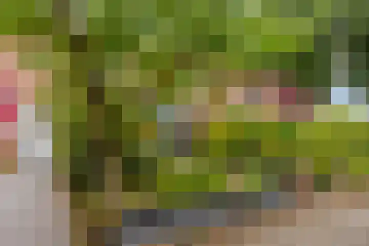 Torenlaan 22 Heelsum thumbnail 5