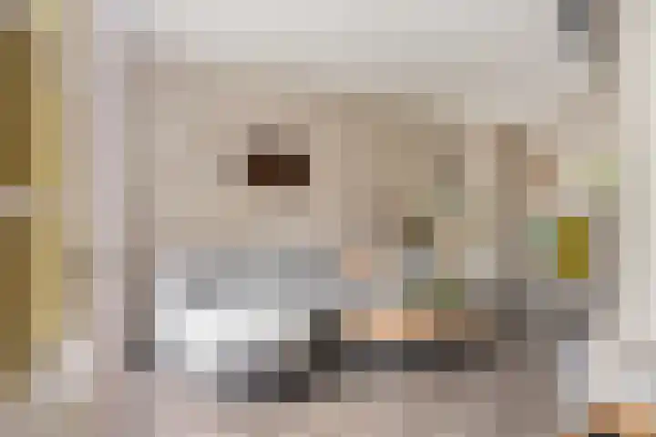 Torenlaan 22 Heelsum thumbnail 7
