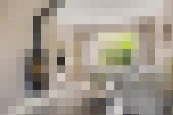 Torenlaan 22 Heelsum thumbnail 8