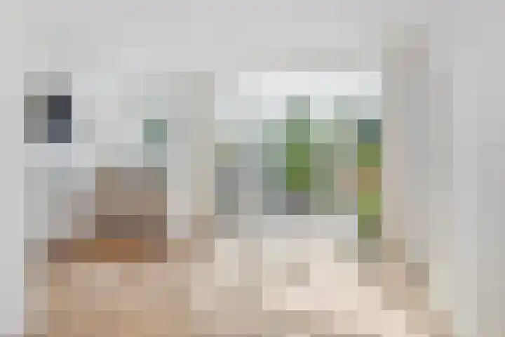 Torenlaan 22 Rotterdam thumbnail 15