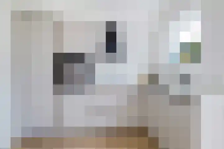 Torenlaan 22 Rotterdam thumbnail 17