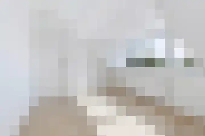 Torenlaan 22 Rotterdam thumbnail 32