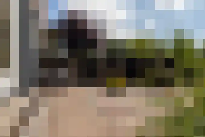 Torenlaan 22 Rotterdam thumbnail 33