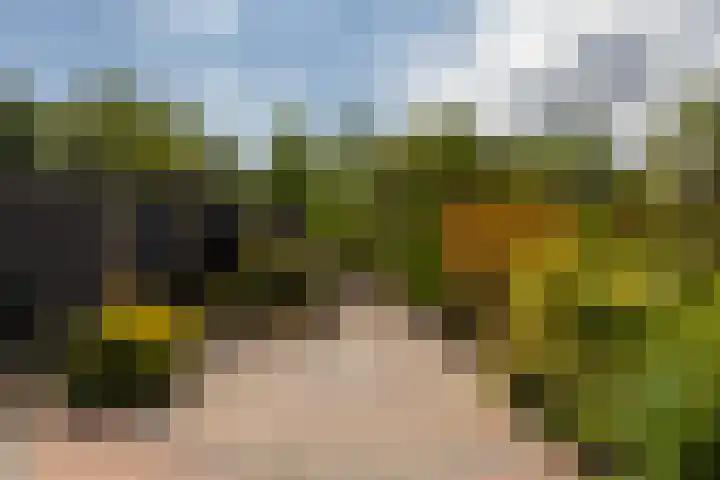 Torenlaan 22 Rotterdam thumbnail 34