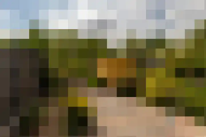 Torenlaan 22 Rotterdam thumbnail 35
