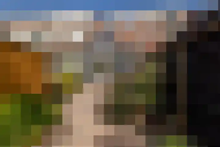 Torenlaan 22 Rotterdam thumbnail 37