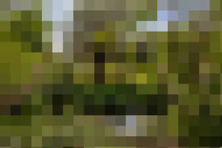 Torenlaan 22 Rotterdam thumbnail 39