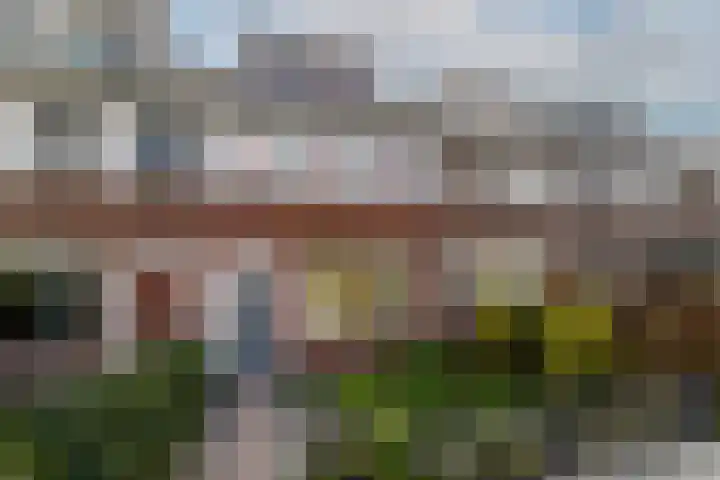 Torenlaan 22 Rotterdam thumbnail 40