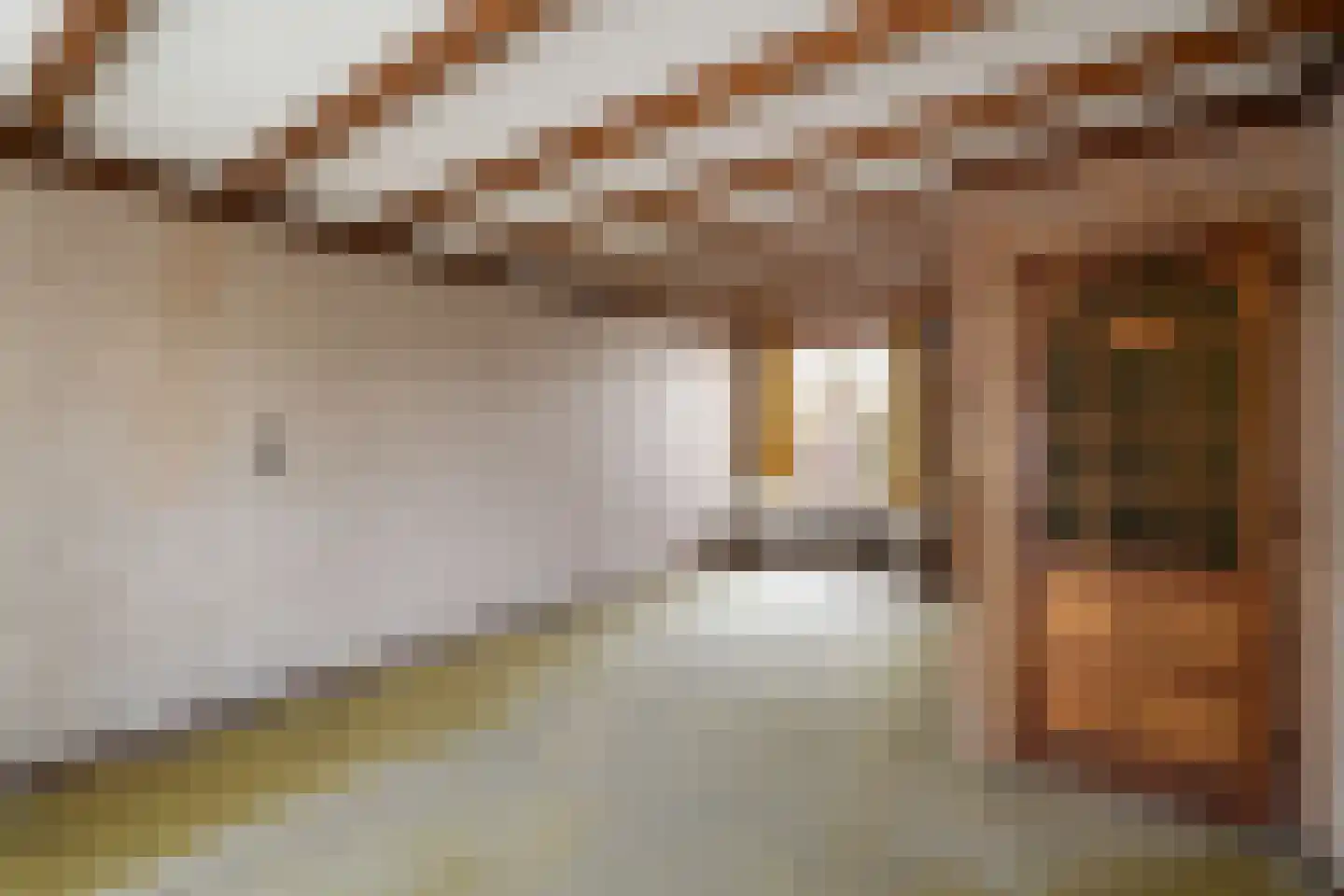 Torenlaan 22 Voorhout thumbnail 19