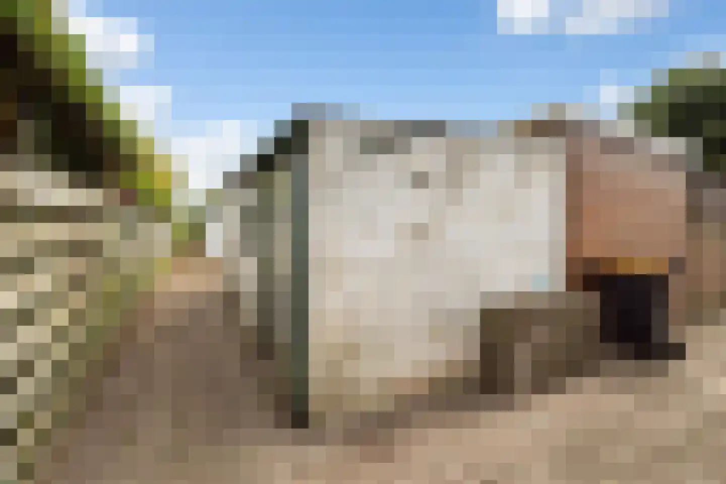 Torenlaan 22 Voorhout thumbnail 31