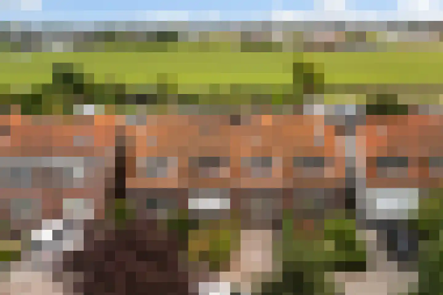 Torenlaan 22 Voorhout thumbnail 37