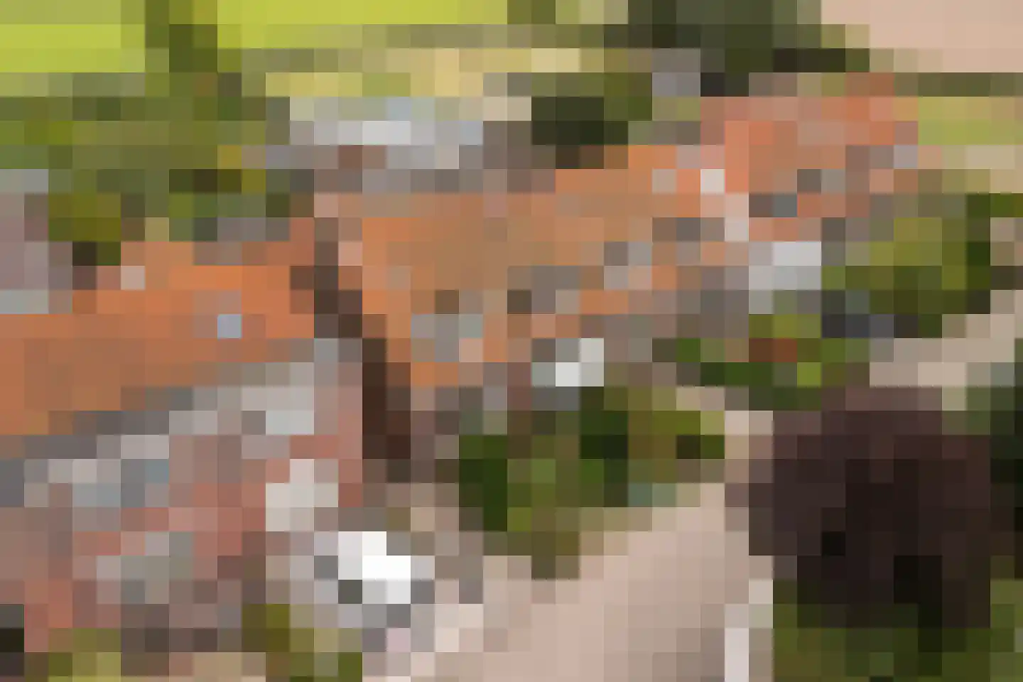 Torenlaan 22 Voorhout thumbnail 38