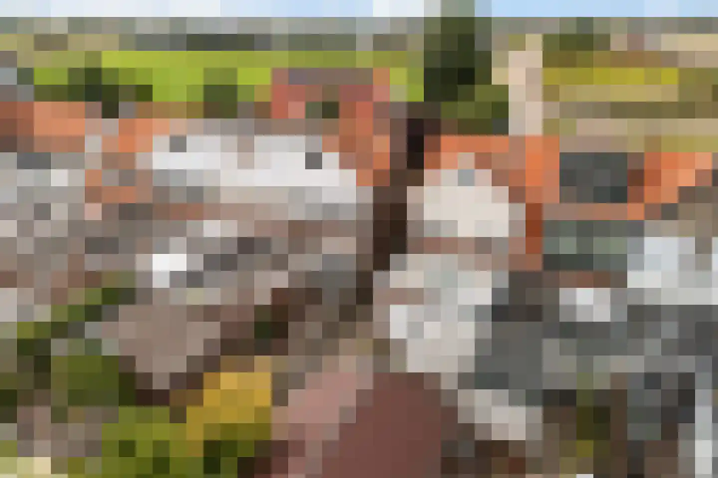 Torenlaan 22 Voorhout thumbnail 39