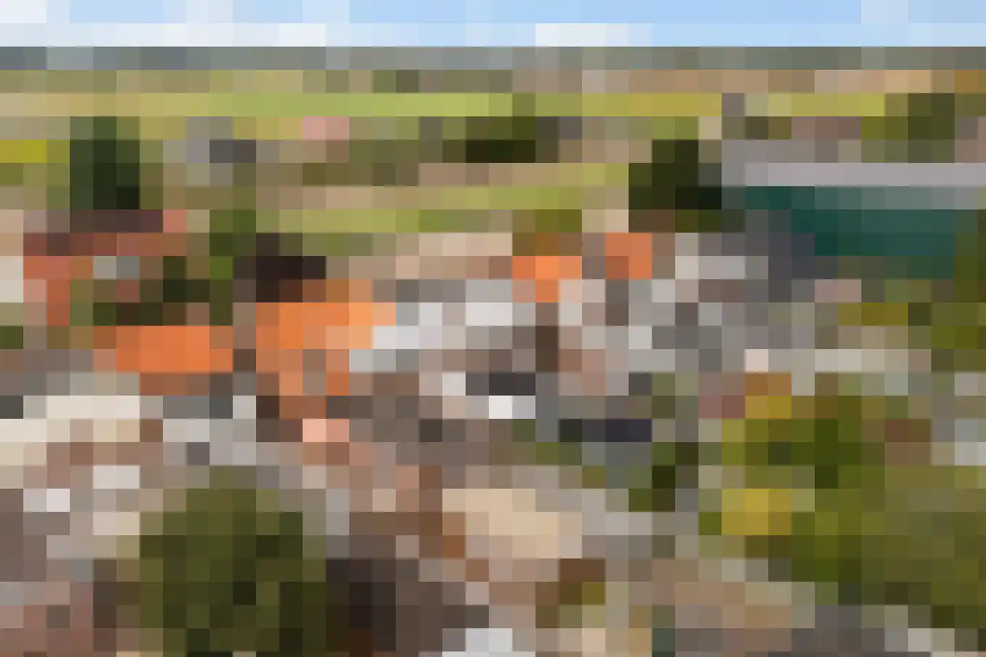 Torenlaan 22 Voorhout thumbnail 41