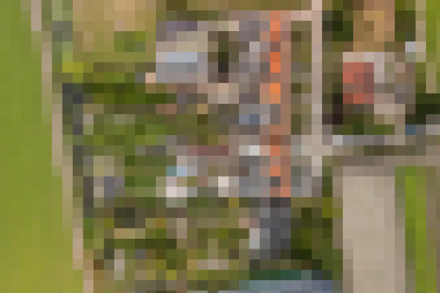 Torenlaan 22 Voorhout thumbnail 42