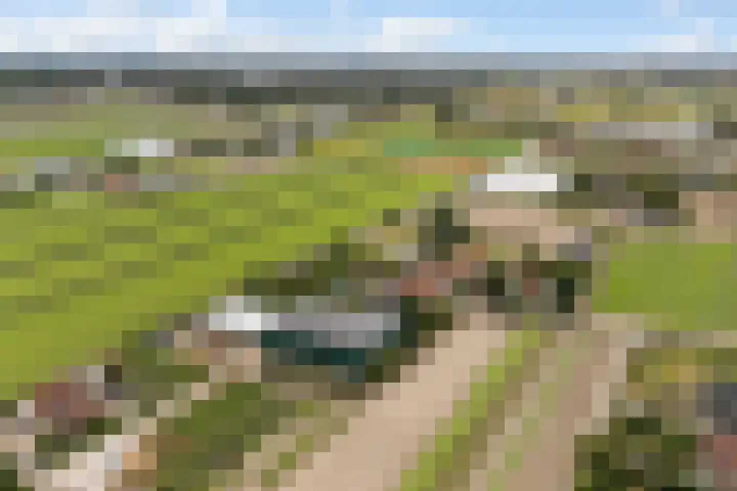 Torenlaan 22 Voorhout thumbnail 44