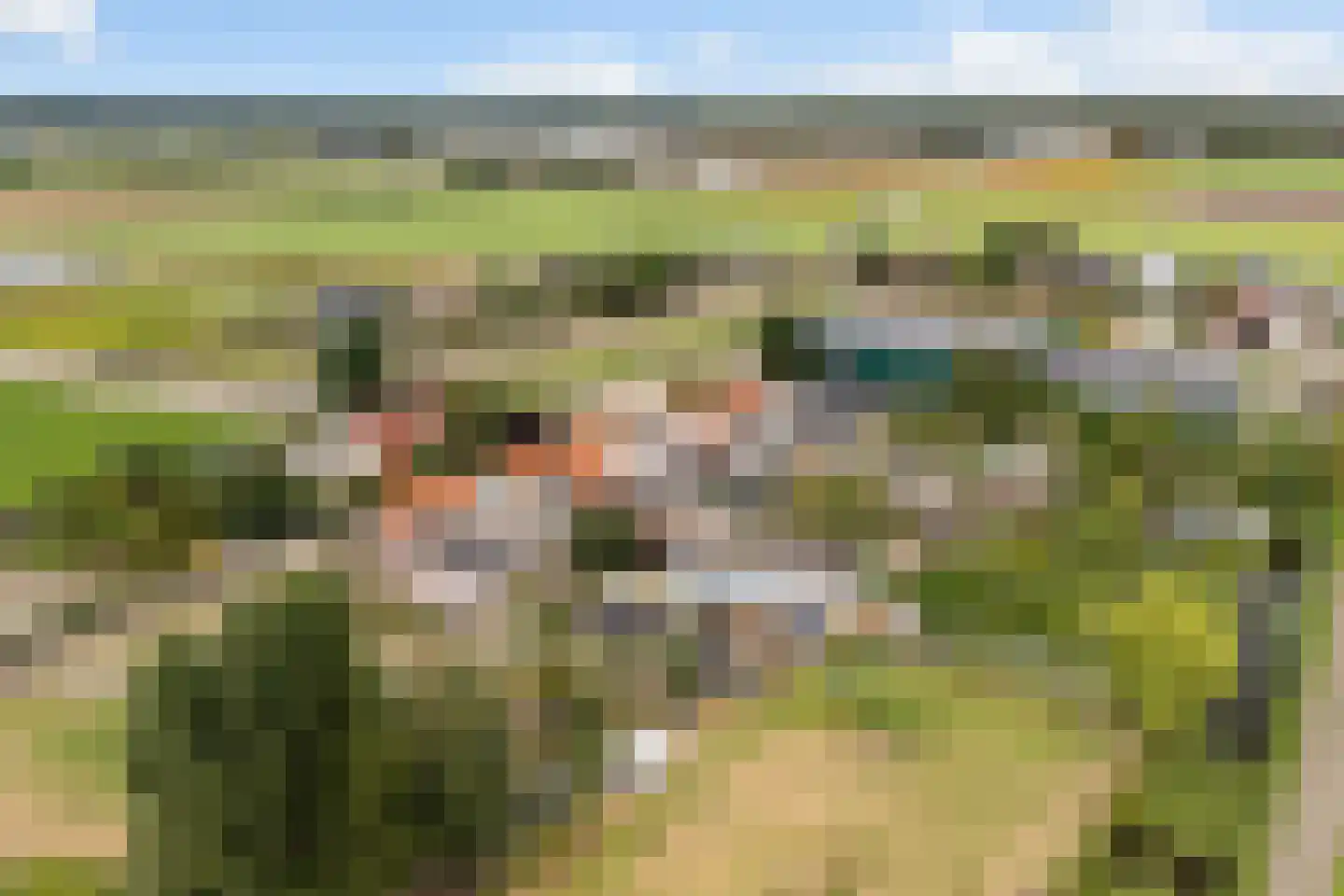 Torenlaan 22 Voorhout thumbnail 46