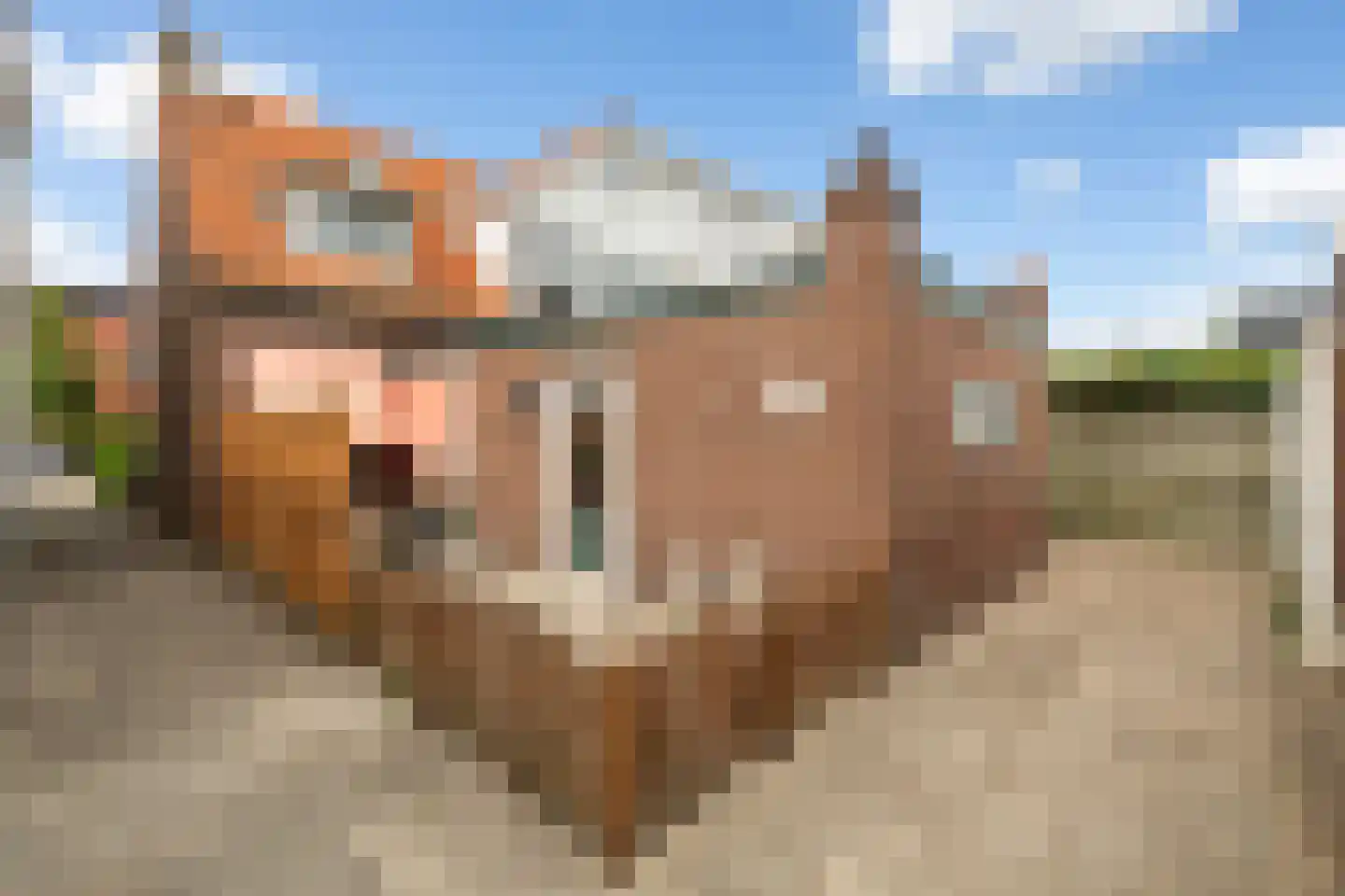 Torenlaan 22 Voorhout thumbnail 6