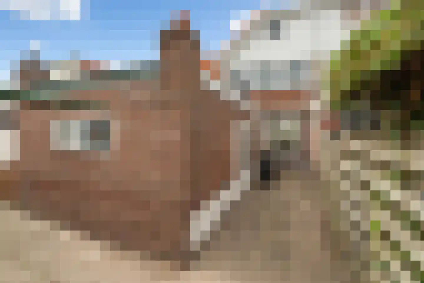 Torenlaan 22 Voorhout thumbnail 7
