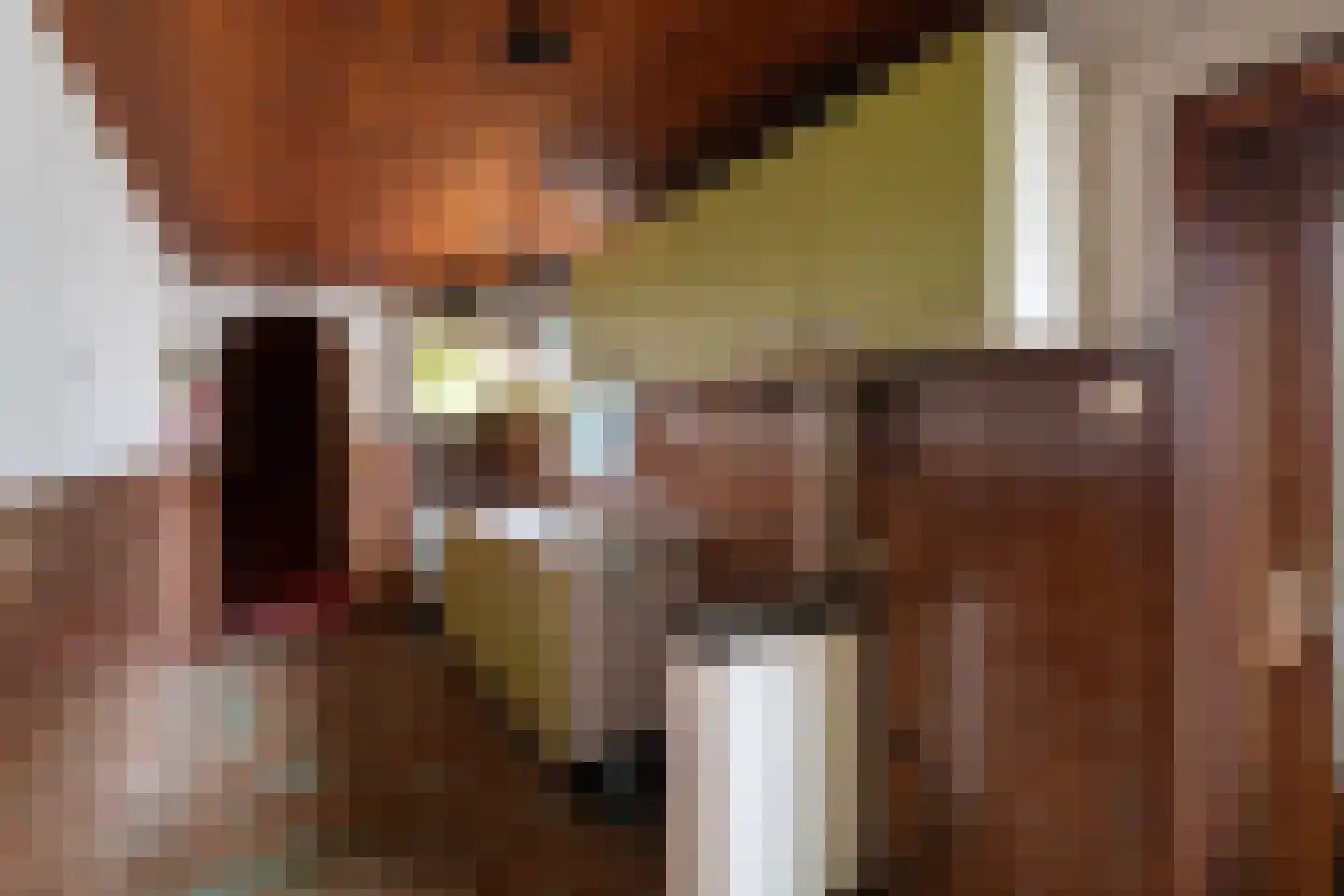 Torenlaan 22 Voorhout thumbnail 9