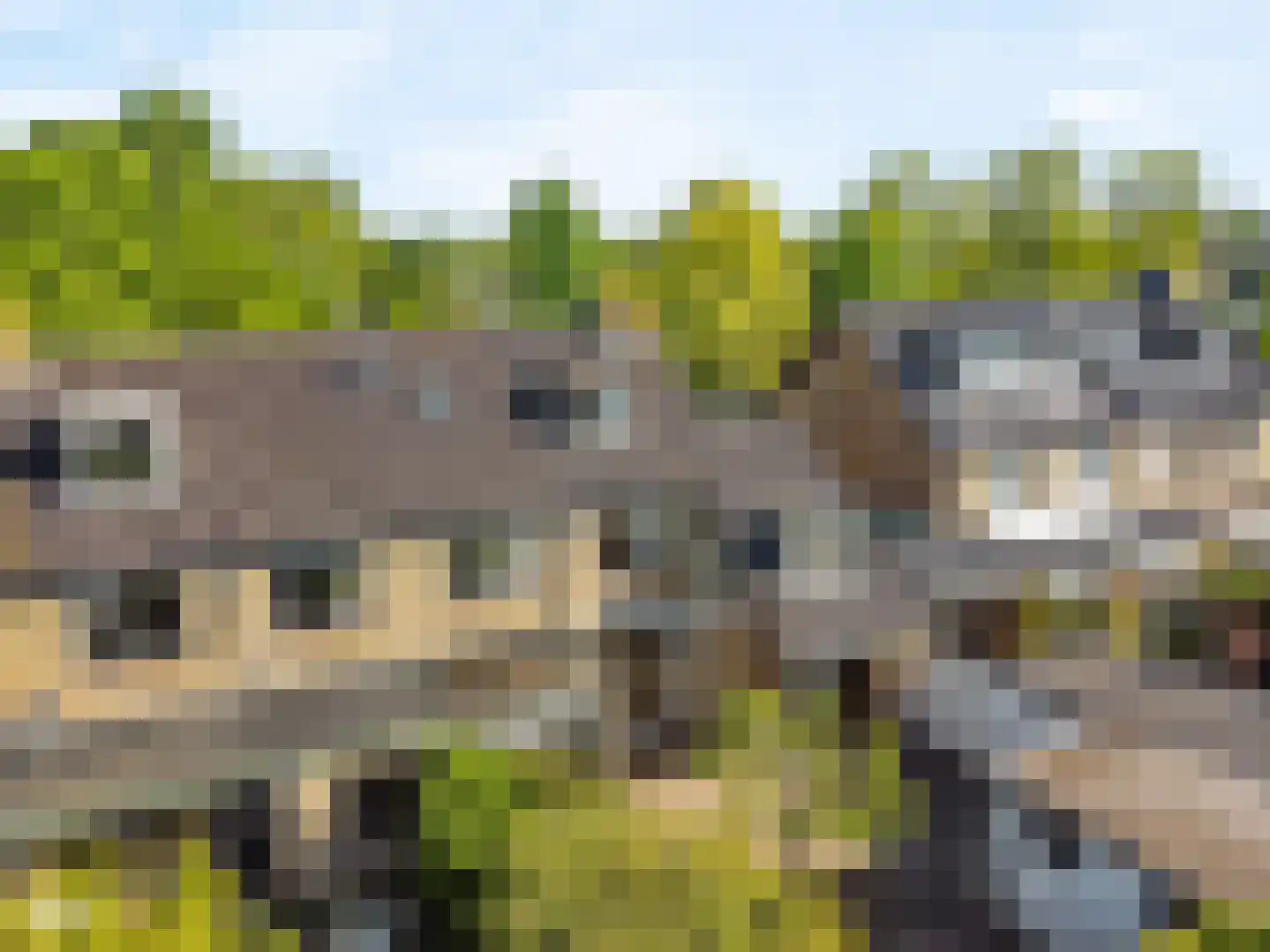 Torenlaan 27 Abcoude thumbnail 32