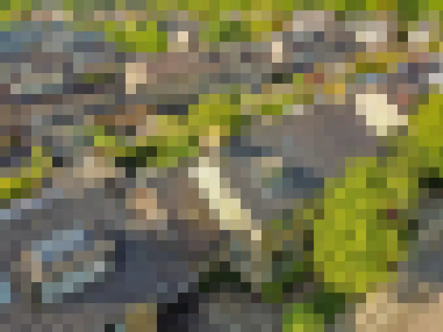 Torenlaan 27 Abcoude thumbnail 33