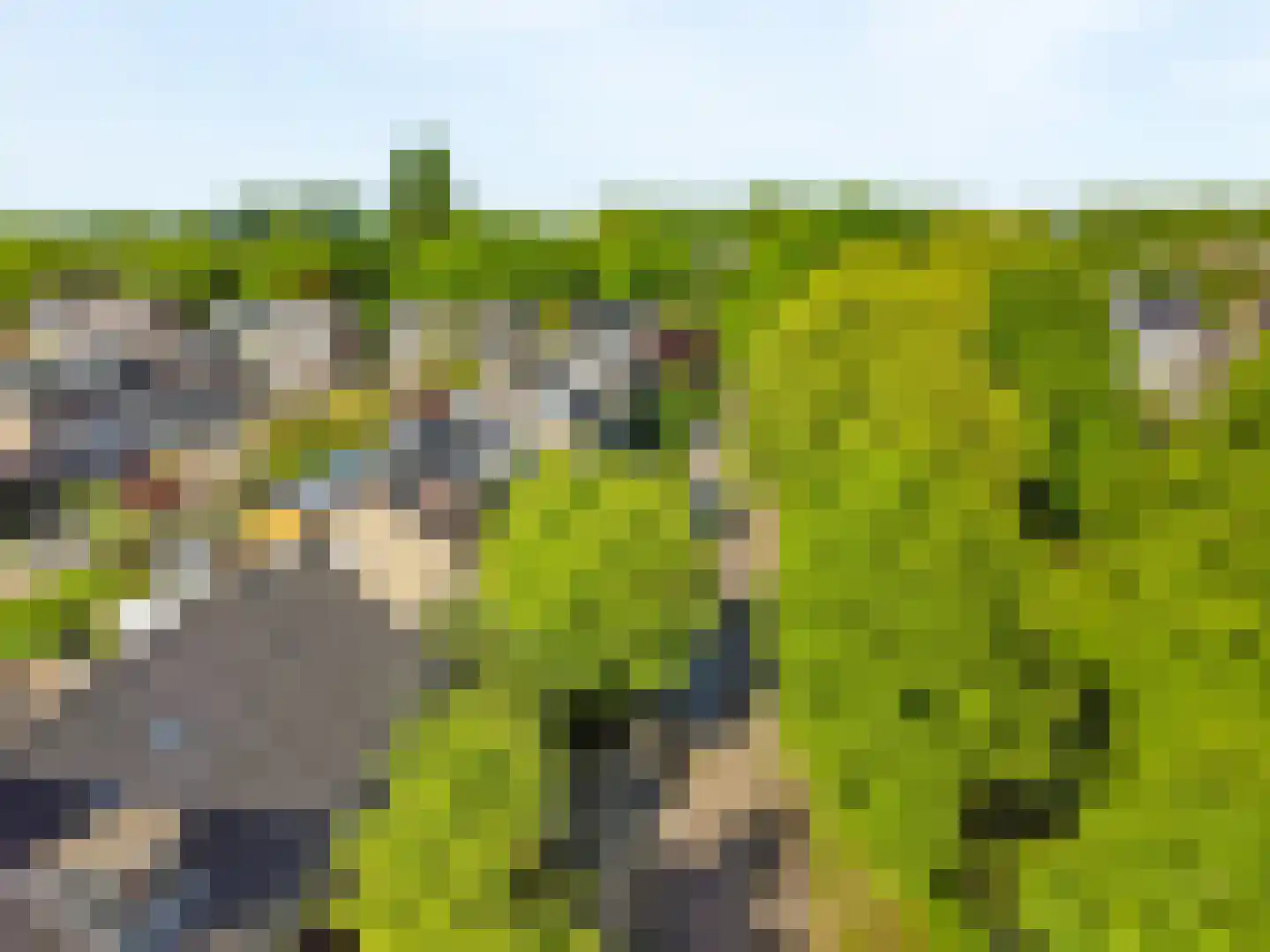 Torenlaan 27 Abcoude thumbnail 34