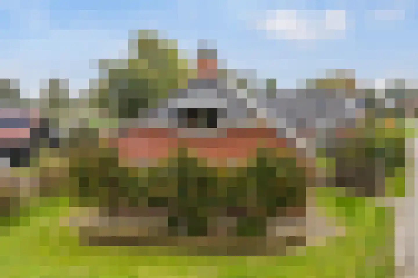 Torenlaan 28 Eastermar thumbnail 54