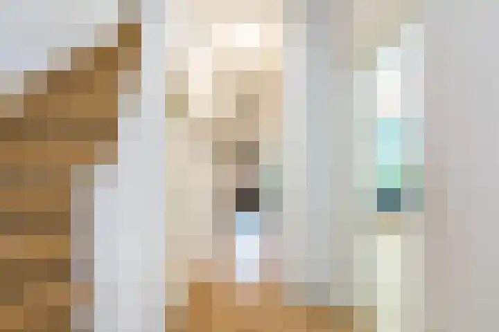 Torenlaan 28 Rotterdam thumbnail 10