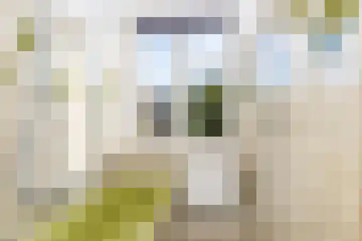 Torenlaan 28 Rotterdam thumbnail 37