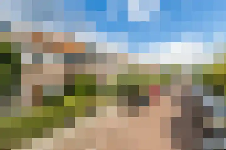 Torenlaan 28 Rotterdam thumbnail 5