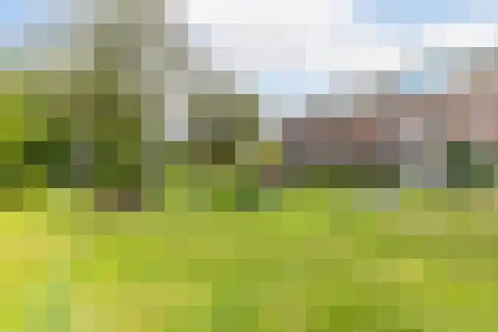 Torenlaan 28 Rotterdam thumbnail 53