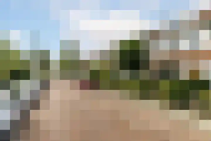 Torenlaan 28 Rotterdam thumbnail 8