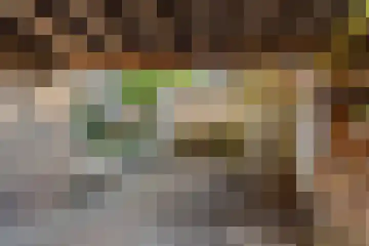Torenlaan 29 Abcoude thumbnail 30