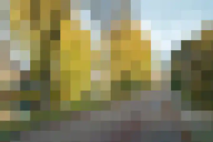 Torenlaan 29 Abcoude thumbnail 6